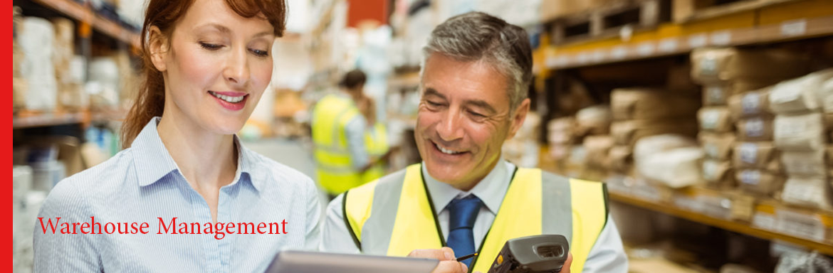 Responsive and Creative